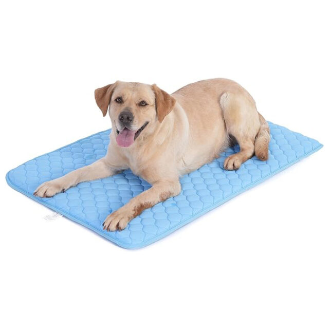 Chill-Out Champ: The Polar Pup Pad